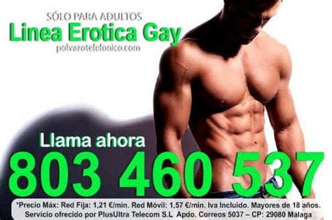 paja gay telefono|Paja por teléfono, máximo placer en línea